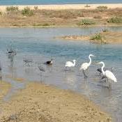 Nayband National Marine Park