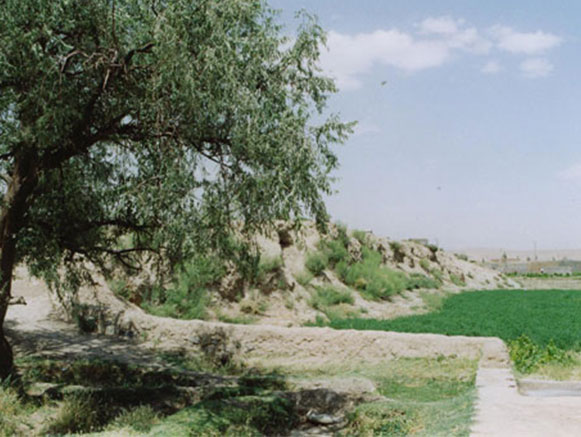 Bakhtak Castle of Leylan County and the Ancient Site