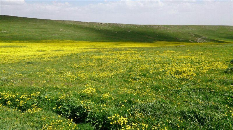 Khoshkenab Village