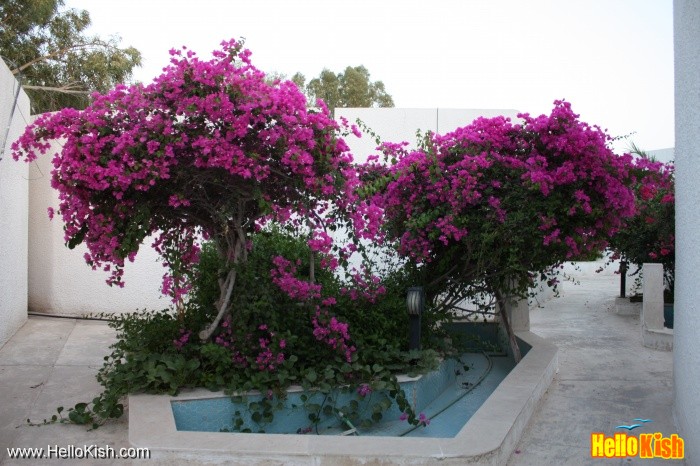 Abadgaran Hotel Kish