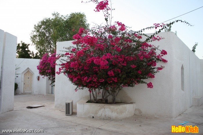 Abadgaran Hotel Kish