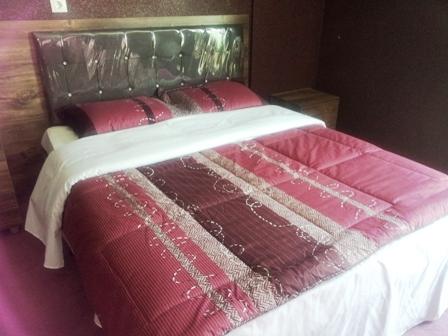Karim Khan Zand Hotel Malayer