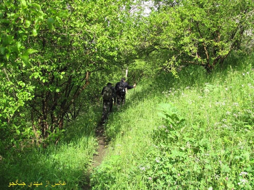 Pristine and Beautiful Touristic Area of Hurand