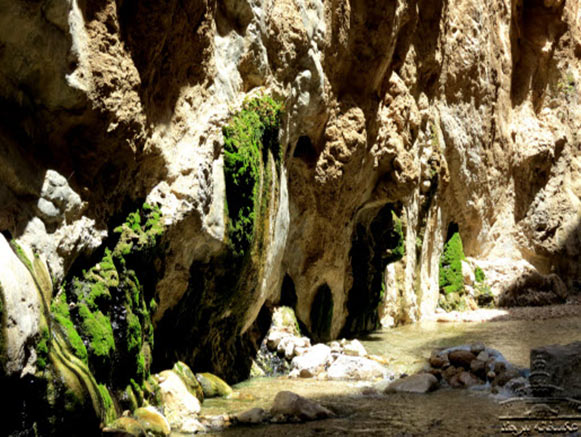 Morteza Ali Hot Spring