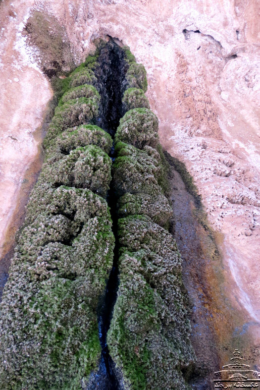 Morteza Ali Hot Spring