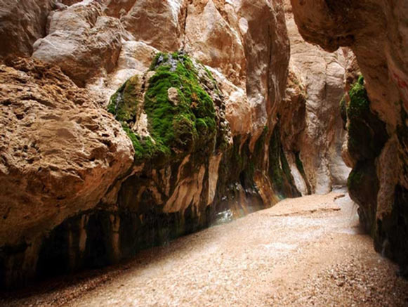 Morteza Ali Hot Spring
