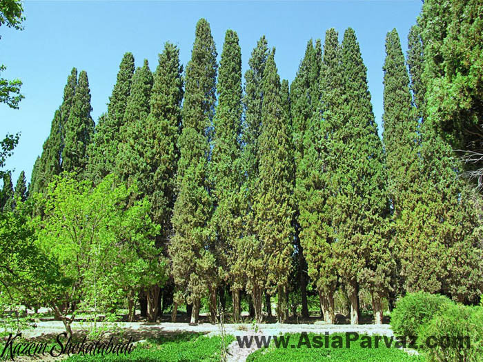 Rahimabad Garden and Mansion