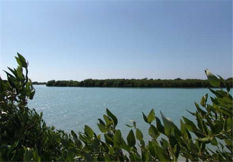 Nayband National Marine Park