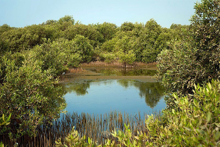 Nayband National Marine Park