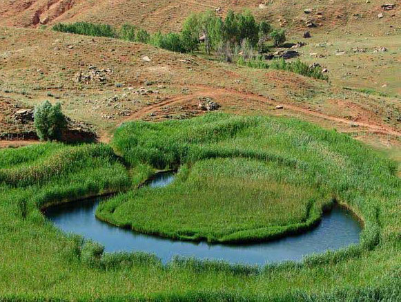 Chamli Wetland