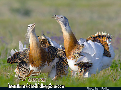 Sootav Wildlife Refuge
