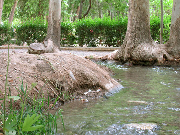 Pahlavanpur Garden