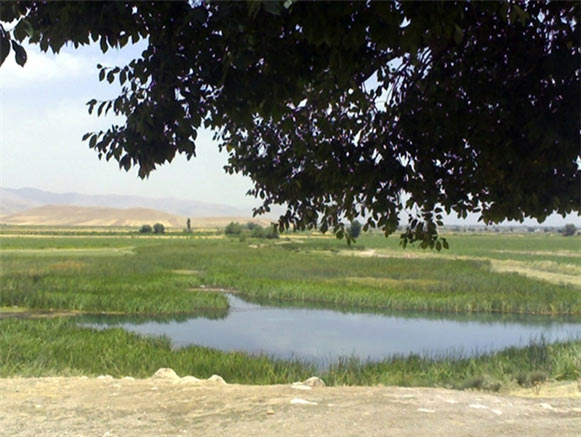 Bamdezh Lagoon