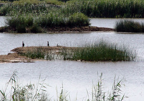 Bamdezh Lagoon