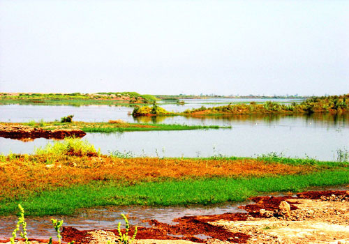 Bamdezh Lagoon