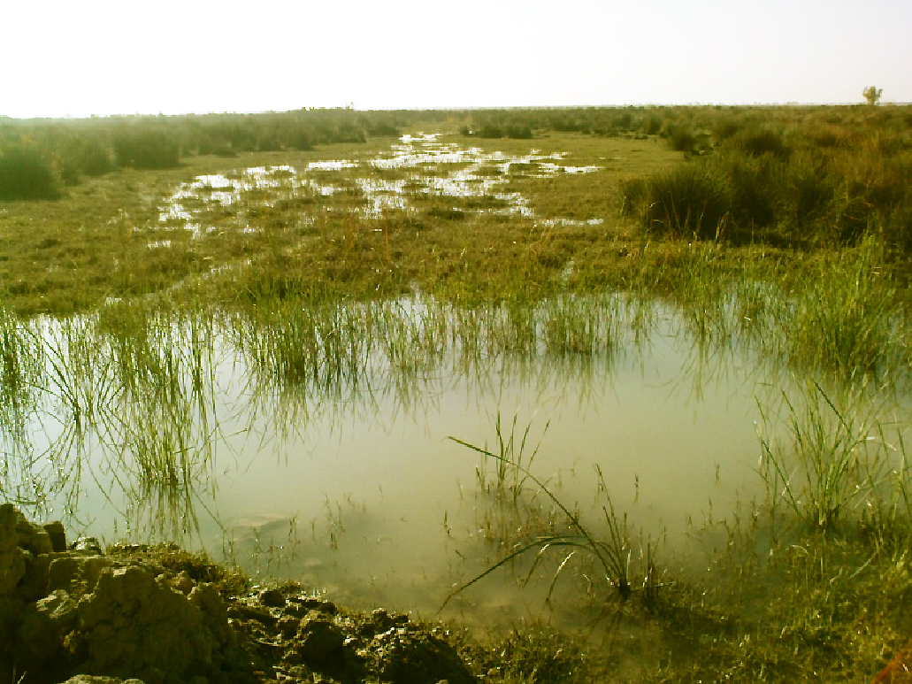 Bamdezh Lagoon