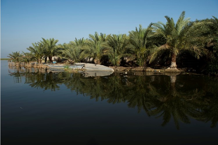 Shadegan International Lagoon