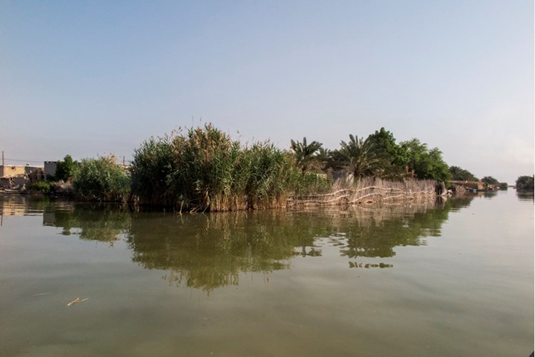 Shadegan International Lagoon