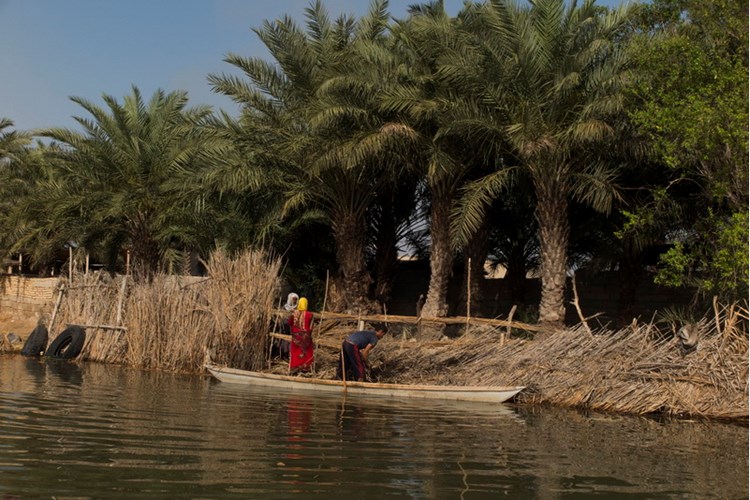 Shadegan International Lagoon