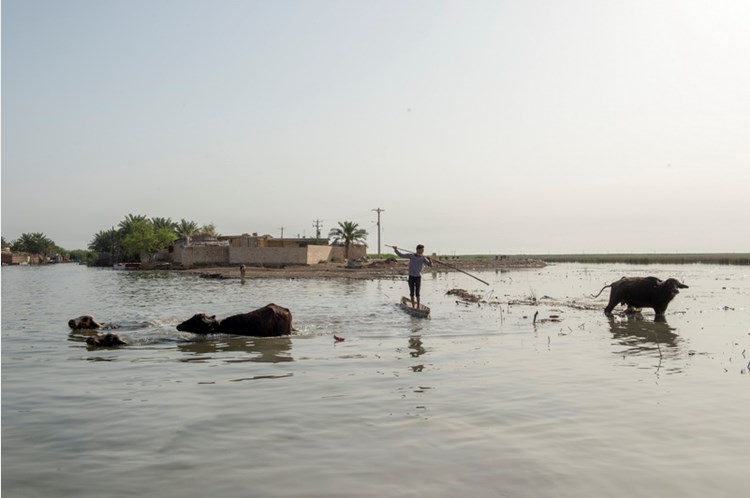 Shadegan International Lagoon