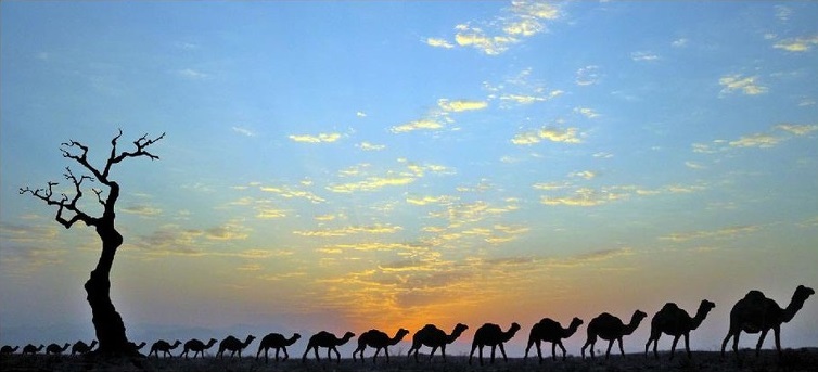 Maranjab Desert (Band-e Rig)