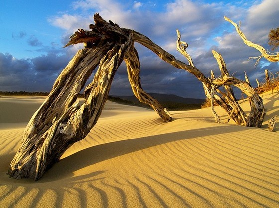 Maranjab Desert (Band-e Rig)