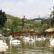 Birds Garden, Tehran