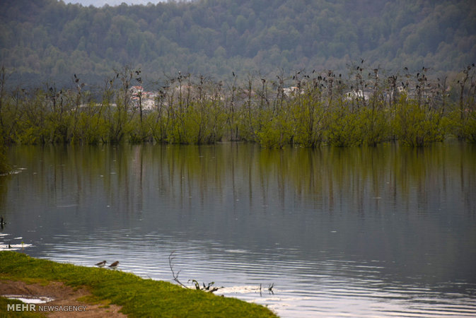 Estil Lagoon, Astara