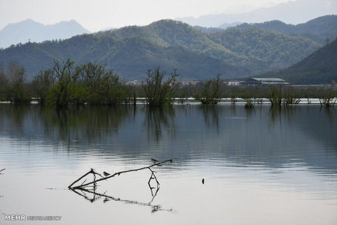 Estil Lagoon, Astara
