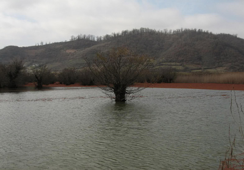 Estil Lagoon, Astara