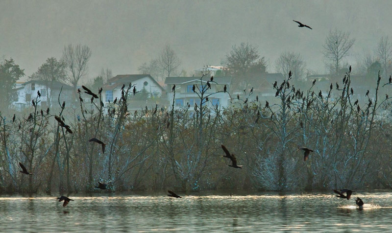 Estil Lagoon, Astara