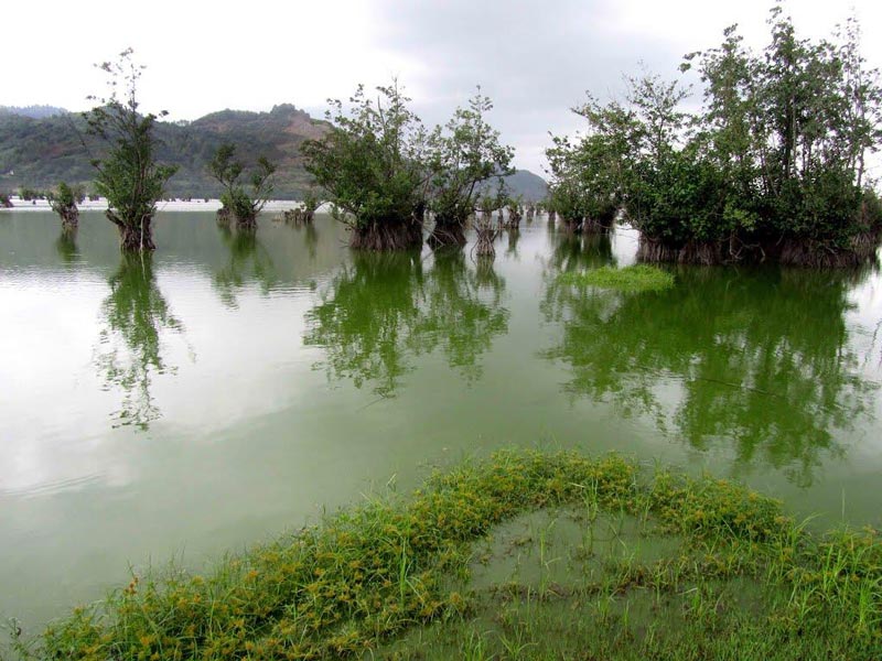 Estil Lagoon, Astara