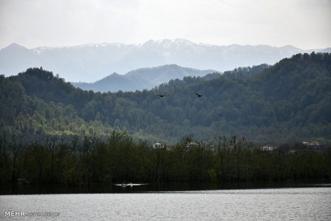 Estil Lagoon, Astara