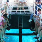 Glass Bottom Boats of Kish