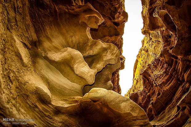 Qeshm Geo-Park