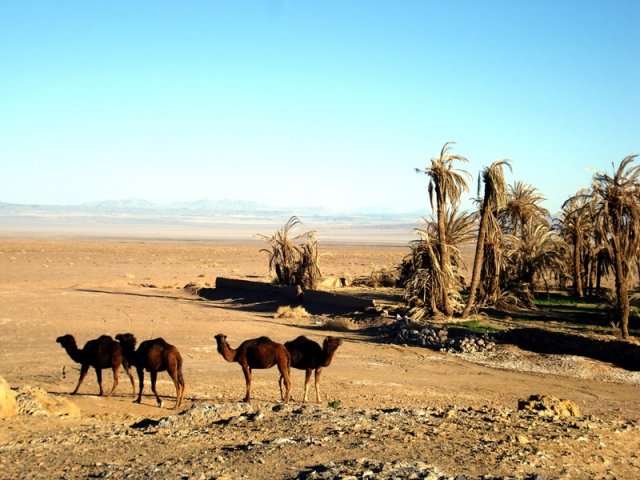 Garmeh Village