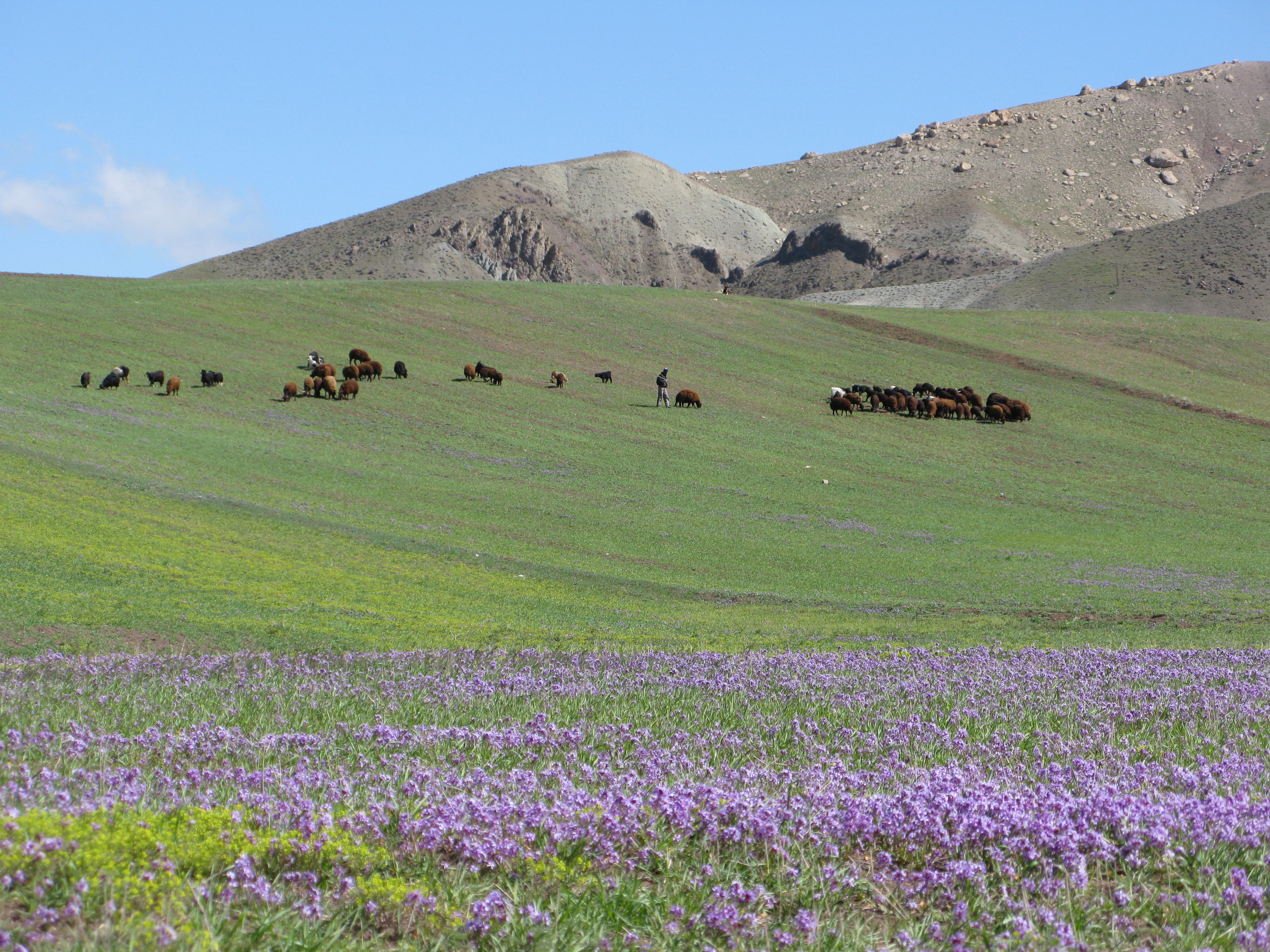 Atash Beyg Village