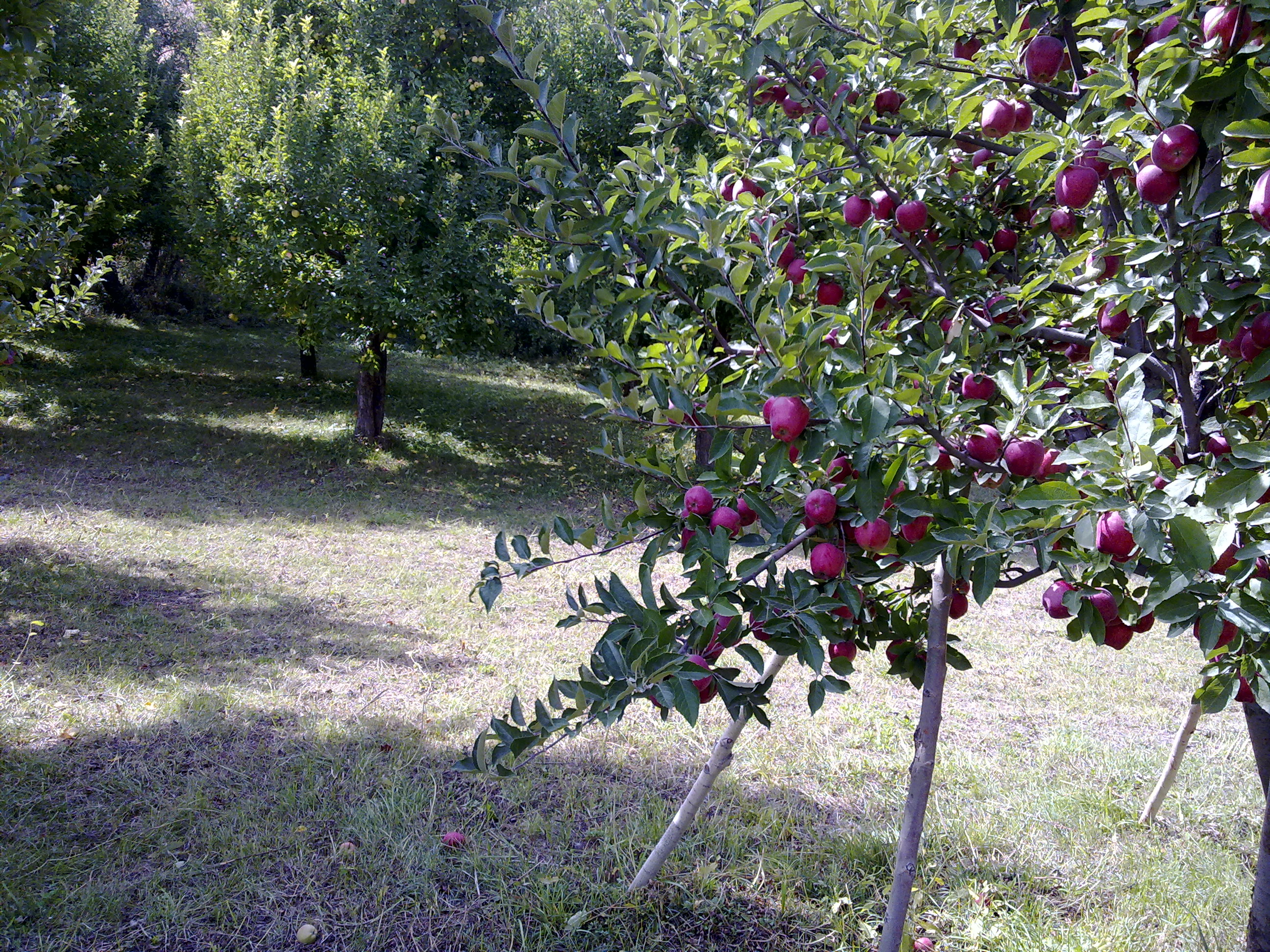 Atash Beyg Village