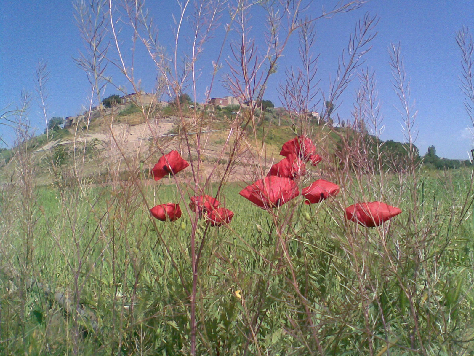 Atash Beyg Village