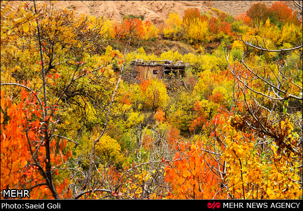 Buzhan Village