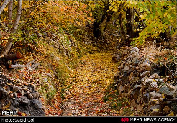 Buzhan Village