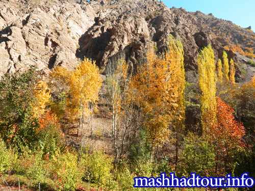 Buzhan Village