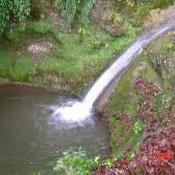 Palang Darreh Protected Area, Qom