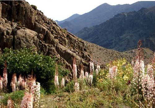 Palang Darreh Protected Area, Qom