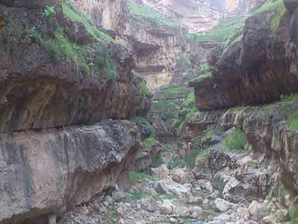 Zeyd Badreh Canyon