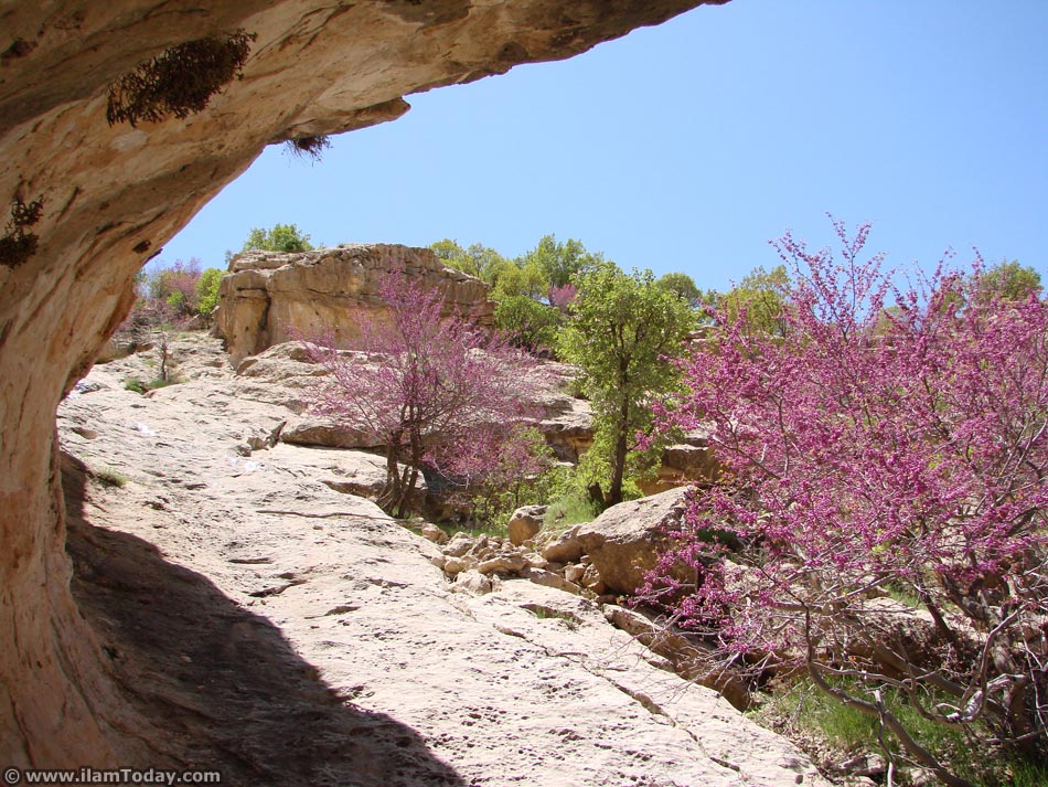 Arqavan Canyon