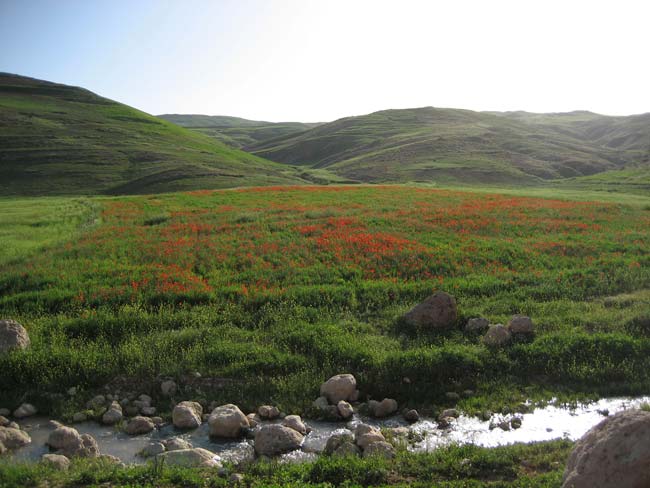 Shirez Canyon