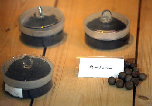 Mausoleum of Kashef Al-Saltaneh (History of Tea Museum)