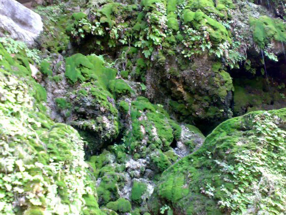 Jiz Canyon