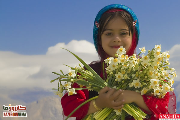 Daffodil Flowerbed of Kazerun